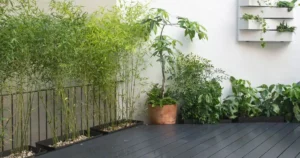 jardín de bambú