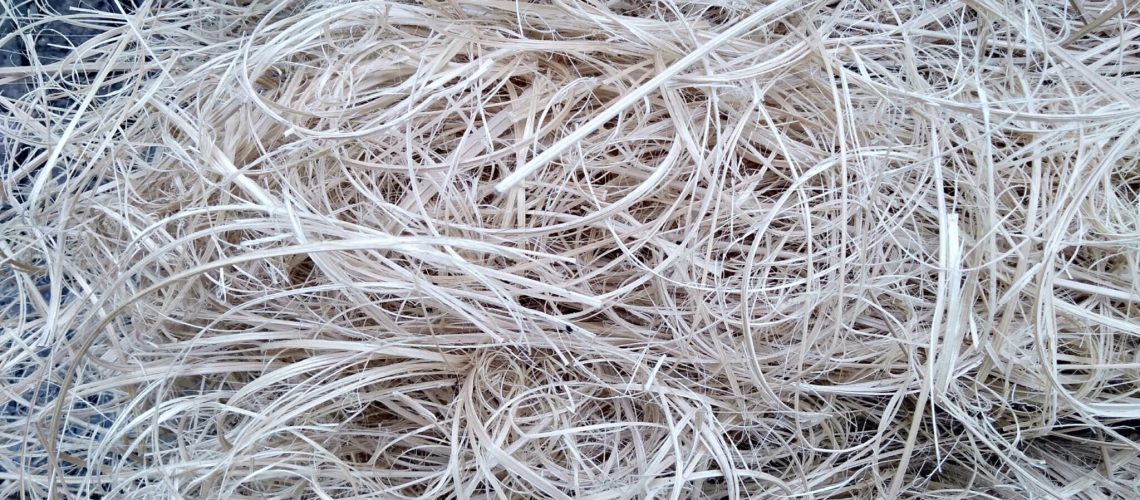 Fibra de Bambú